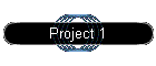 Project 1